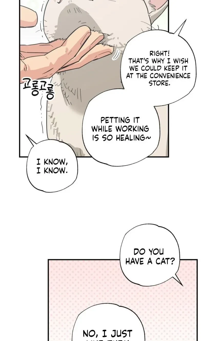 Chapter 18, page 48