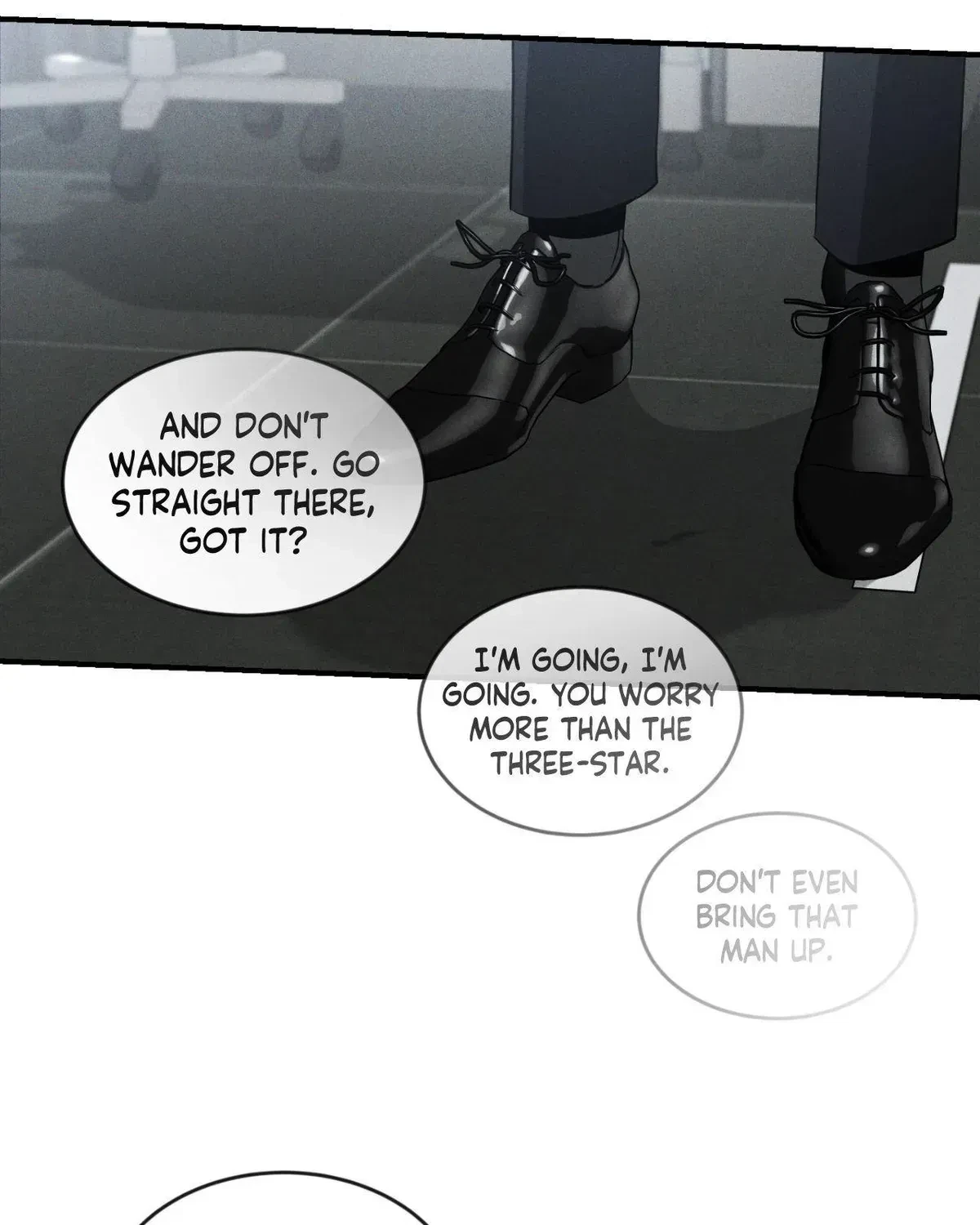 Chapter 3.3, page 101