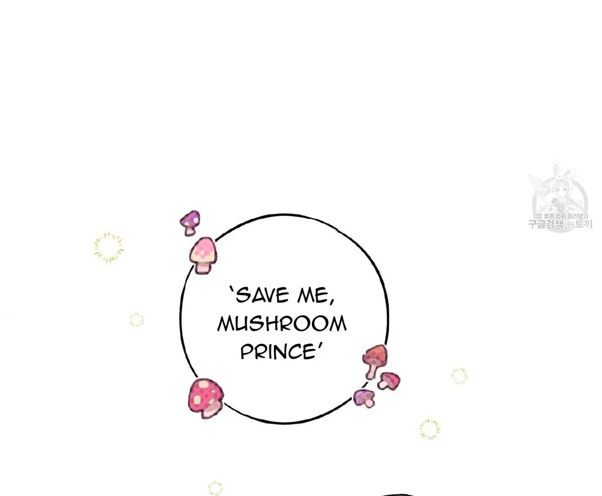 Chapter 1.2, page 14