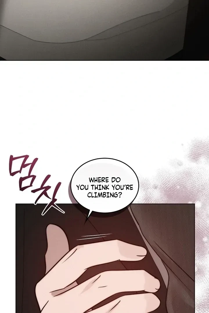 Chapter 12, page 103