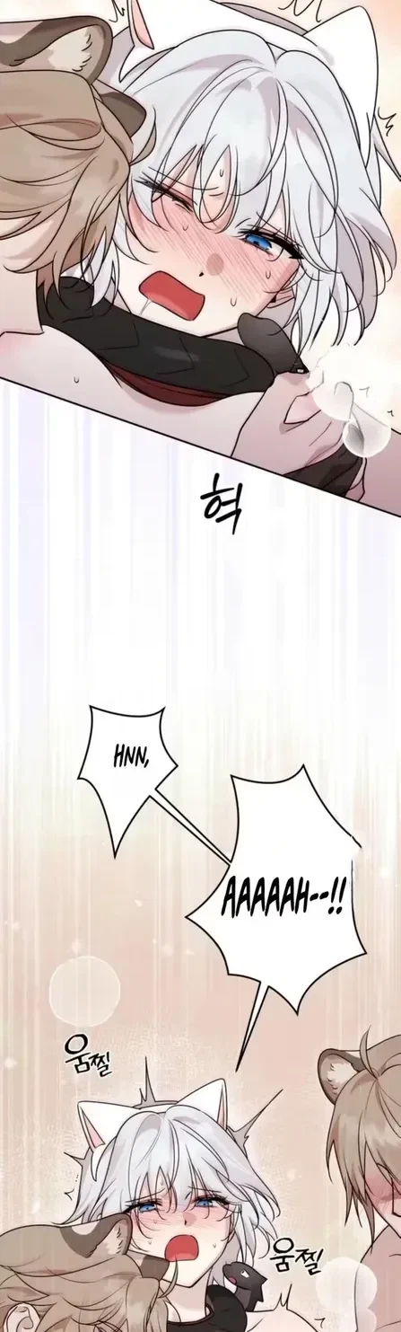 Chapter 20, page 11
