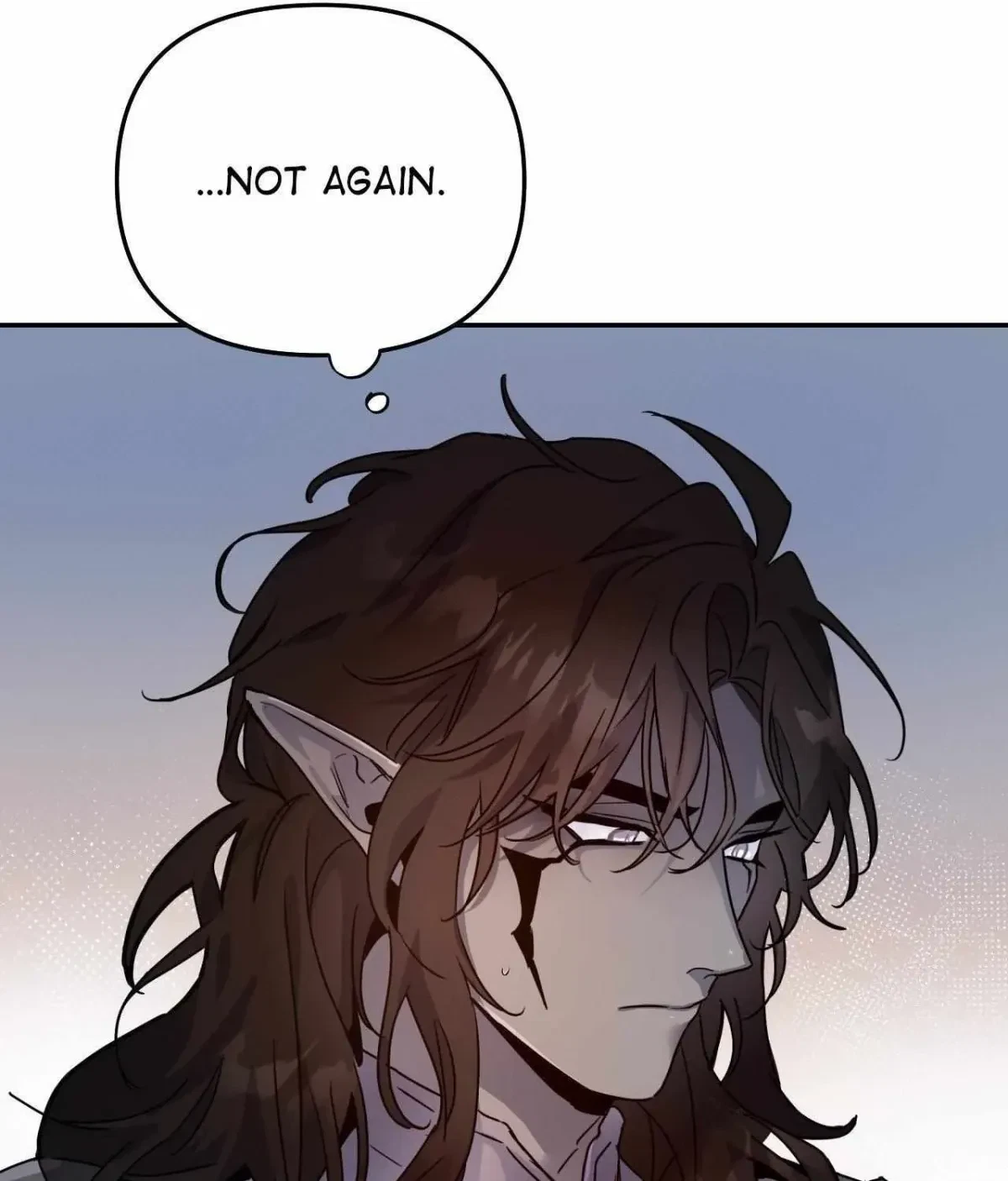 Chapter 1.1, page 13
