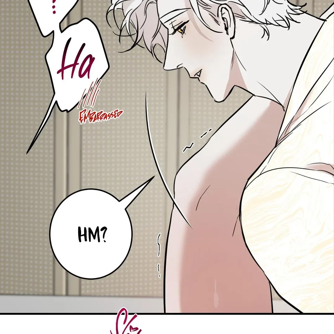 Chapter 2, page 11
