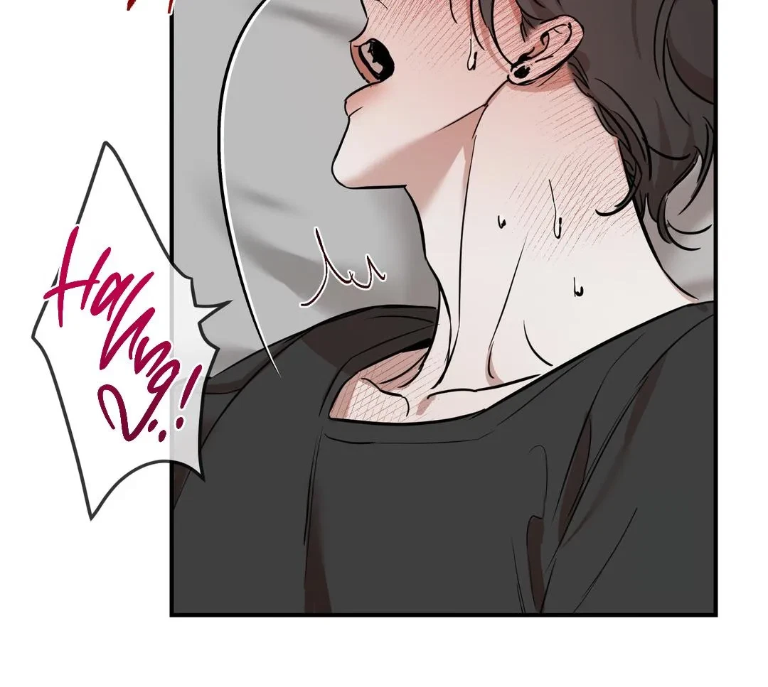 Chapter 2, page 16