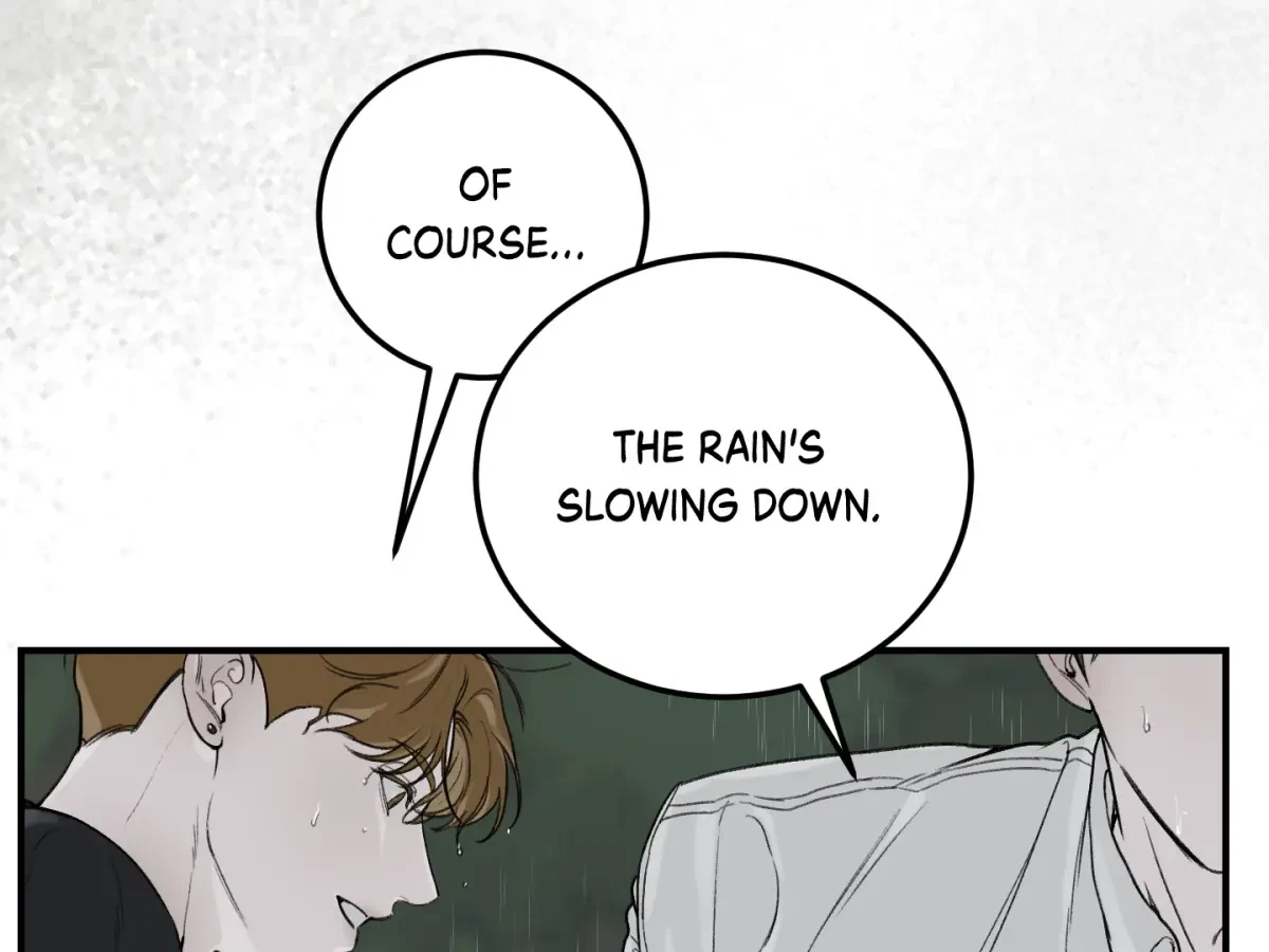 Chapter 4, page 17