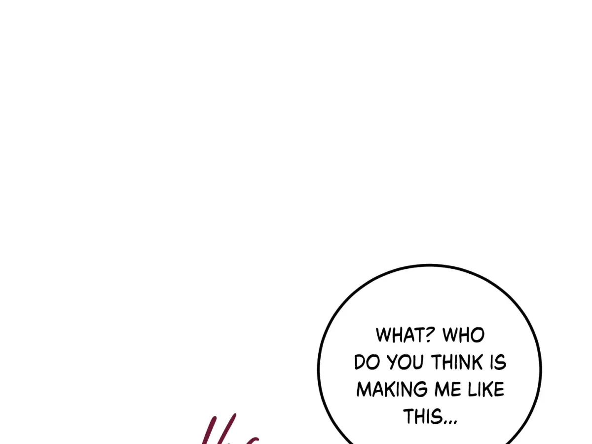 Chapter 4, page 207