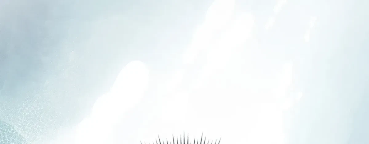 Chapter 57.1, page 49