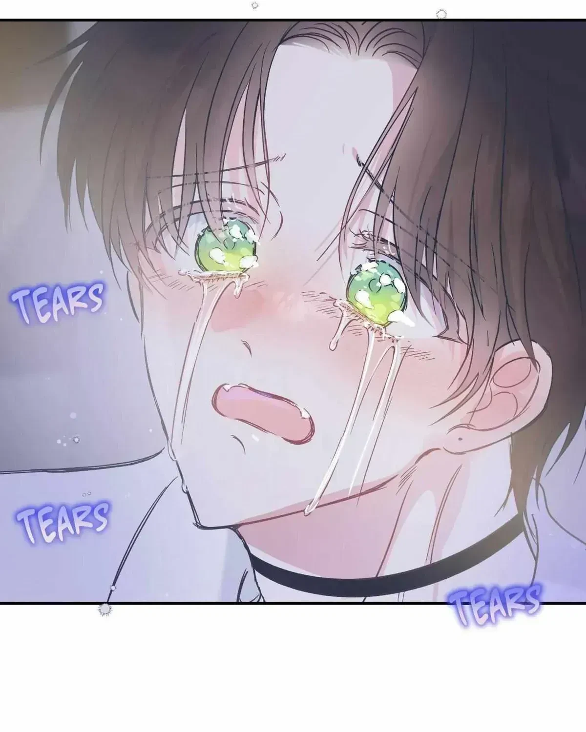 Chapter 42.6, page 42