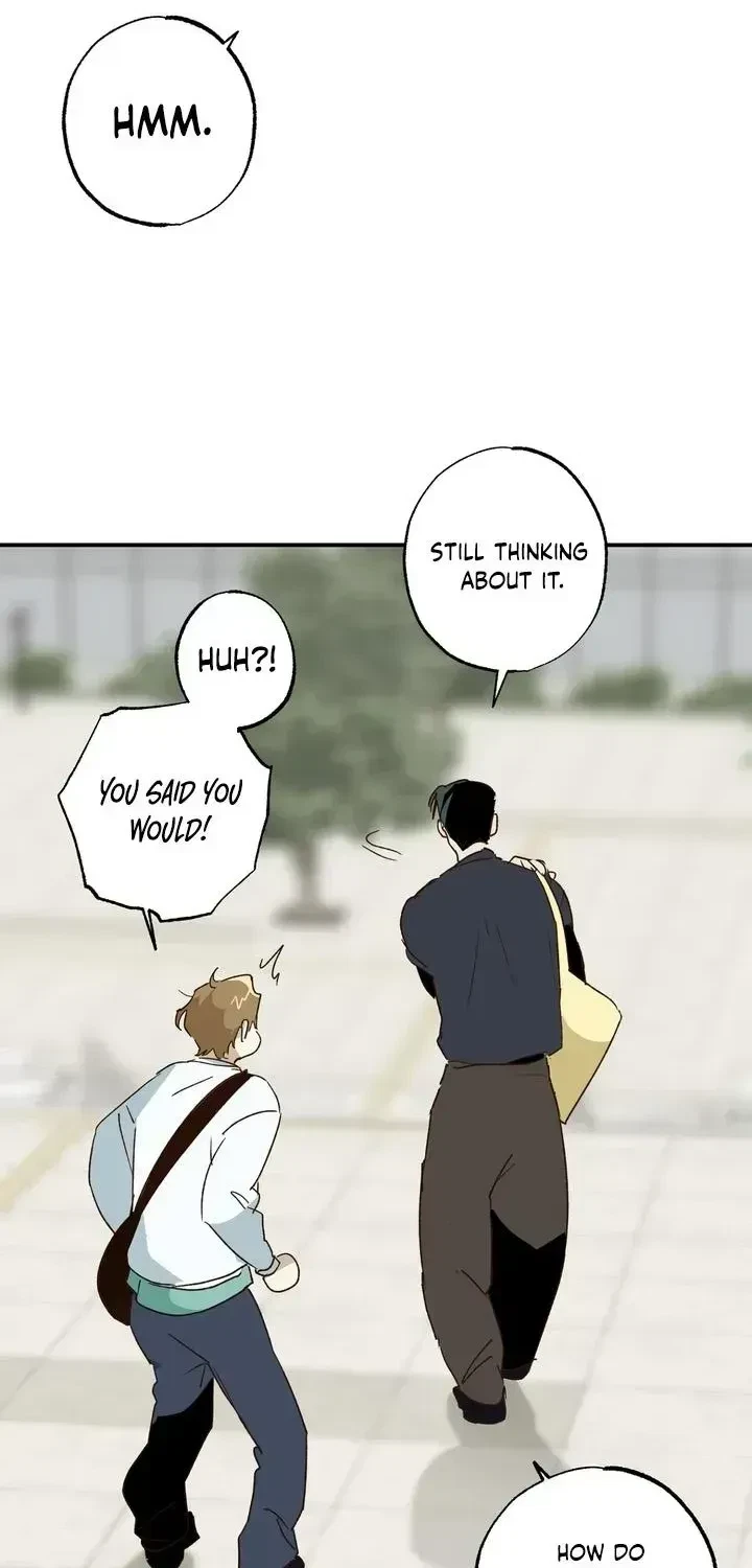 Chapter 2.2, page 5