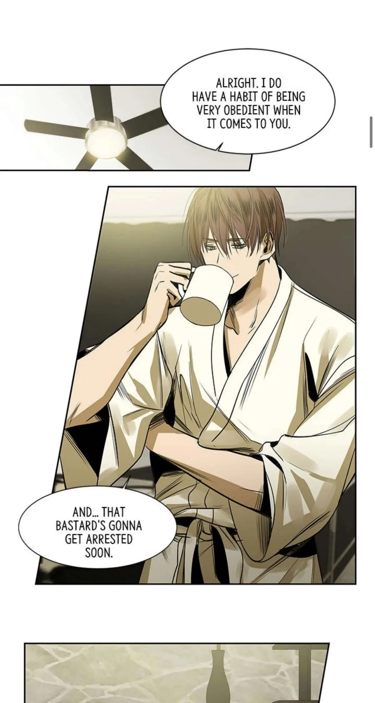 Chapter 1, page 13