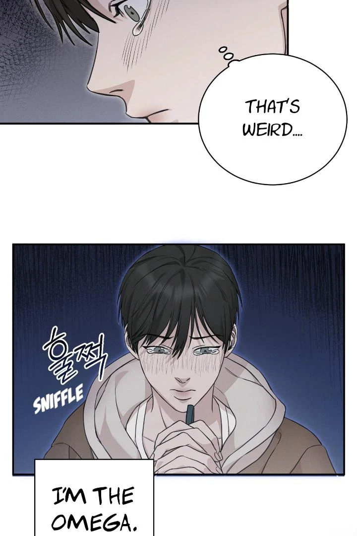 Chapter 2, page 20