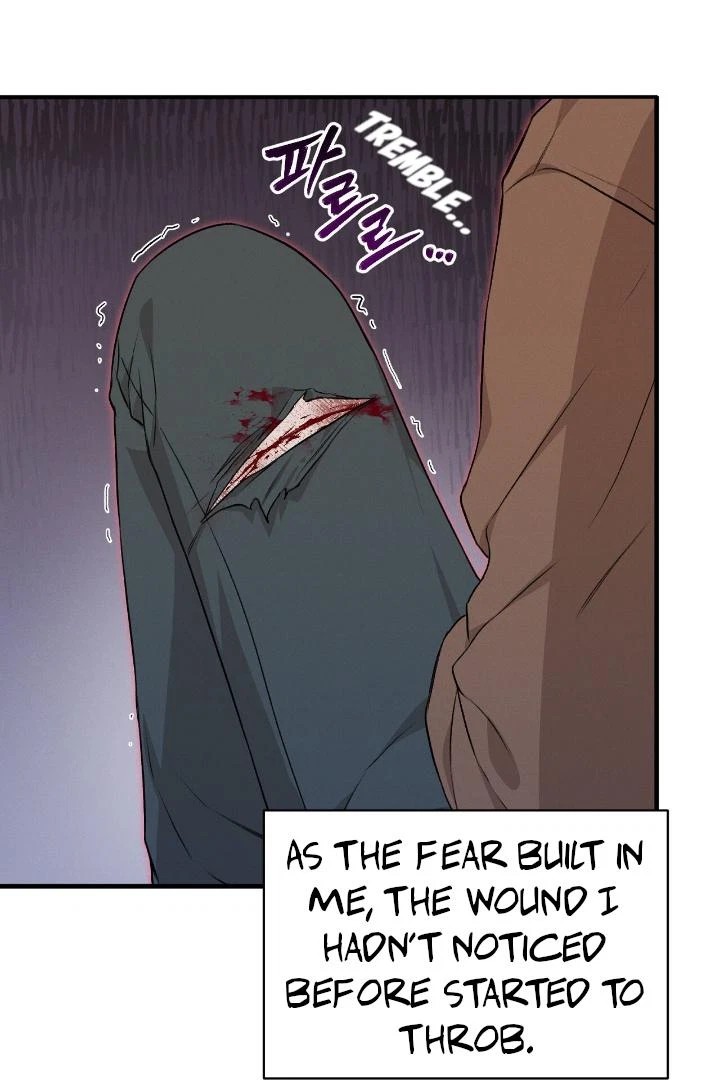 Chapter 2, page 33