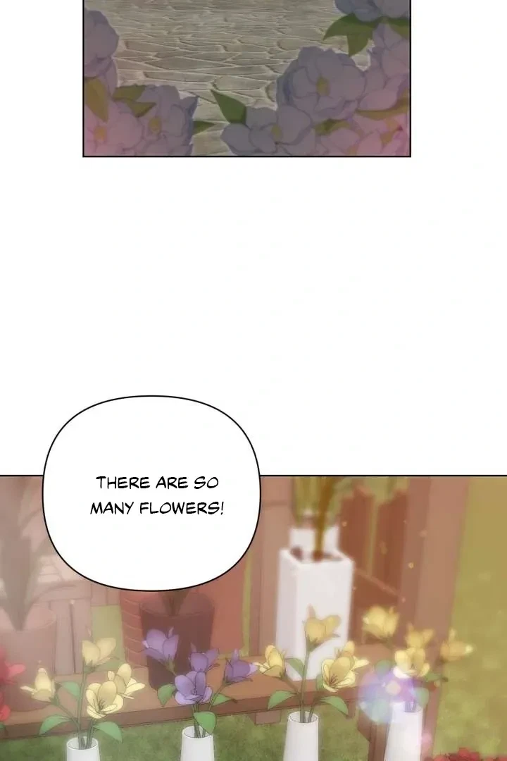 Chapter 3, page 41