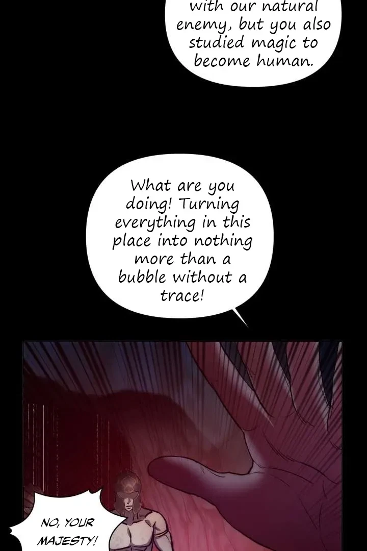 Chapter 3, page 69