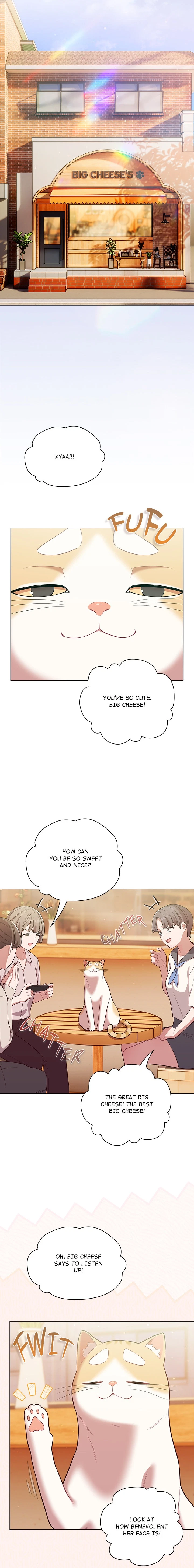 Chapter 53, page 15