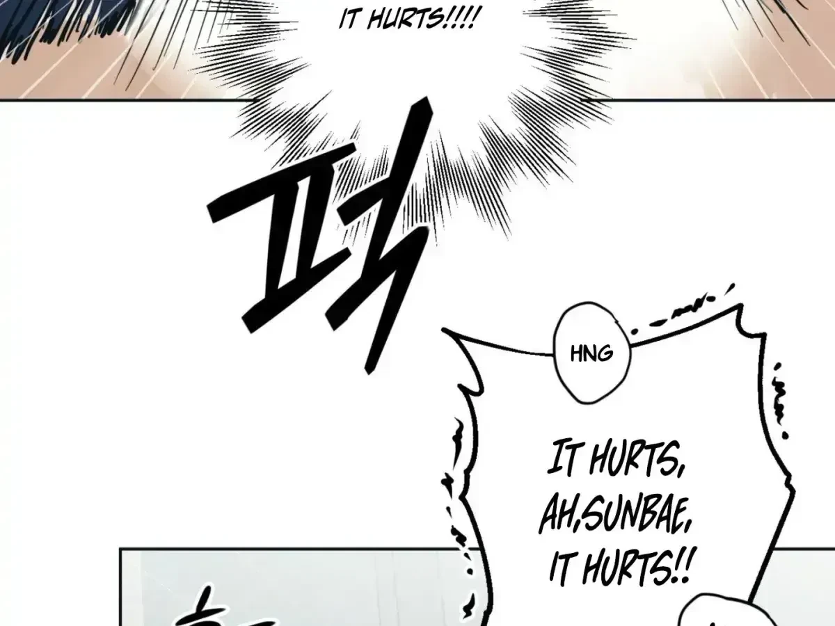 Chapter 6.4, page 31