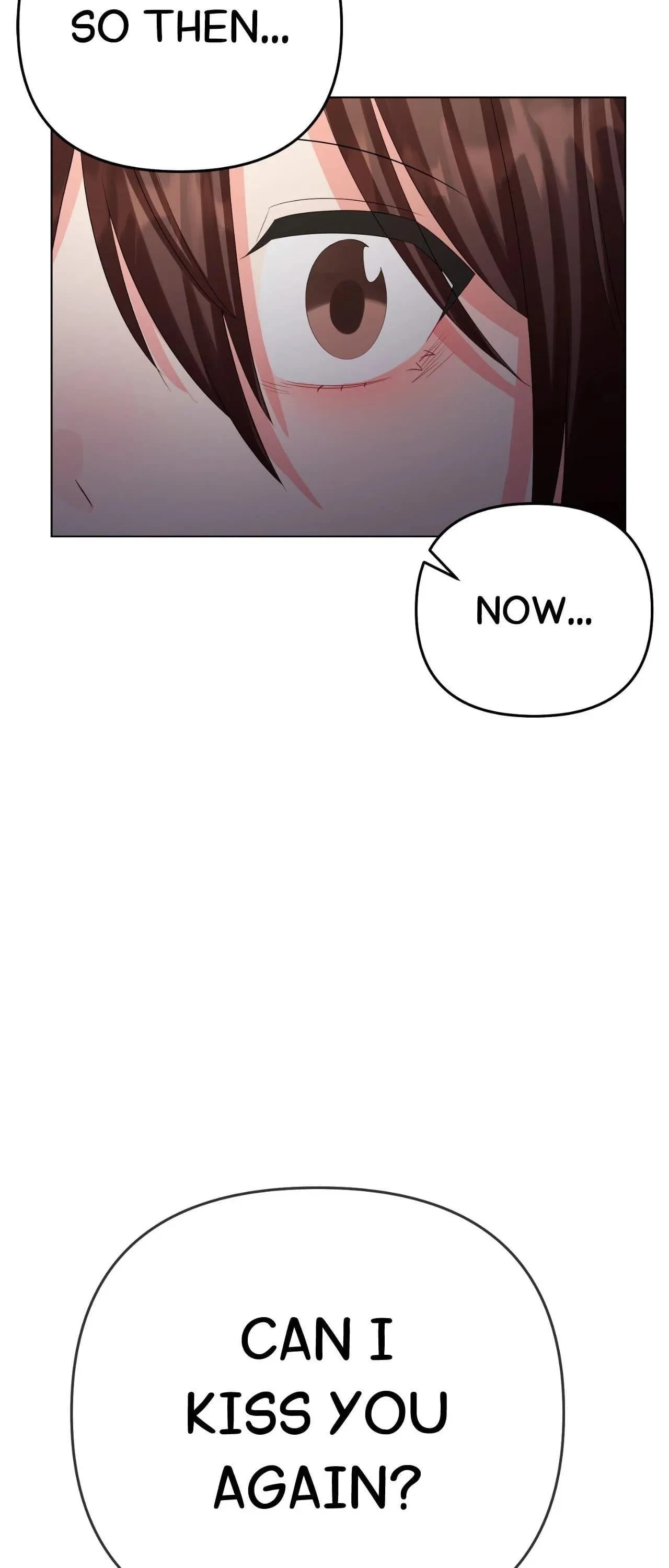 Chapter 15.13, page 95