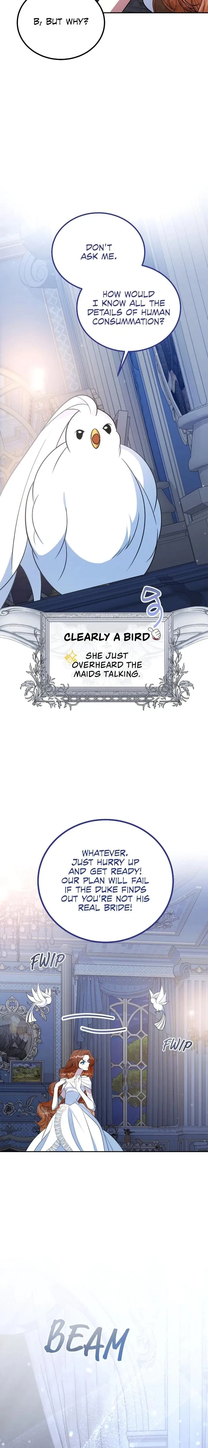 Chapter 1, page 24