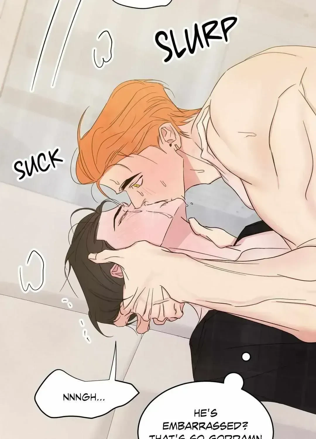 Chapter 100.3, page 57