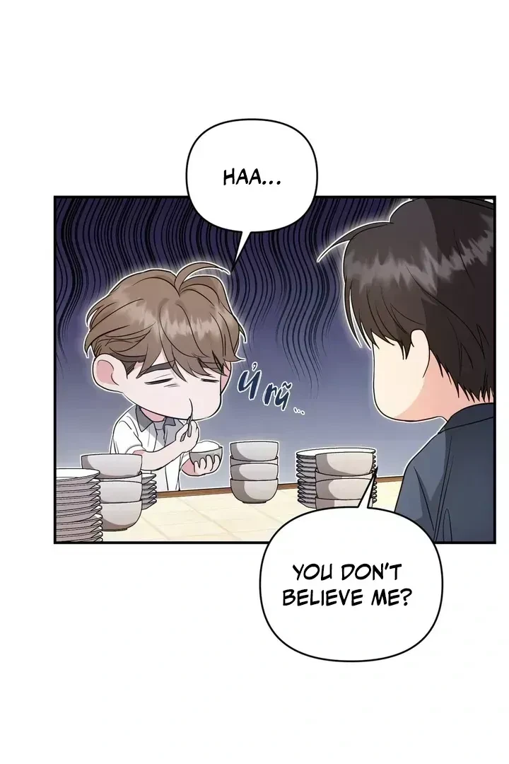 Chapter 2.3, page 46