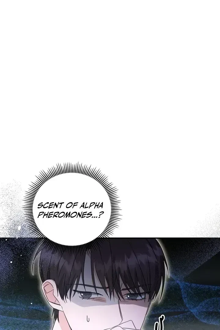Chapter 2.3, page 64