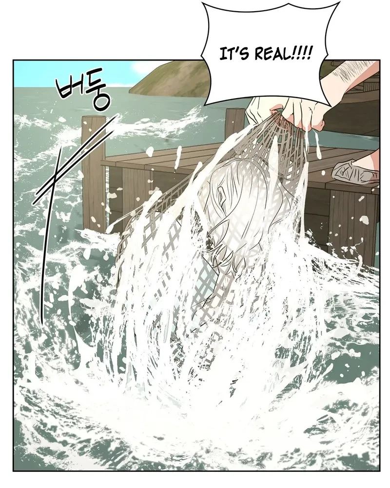 Chapter 5, page 47