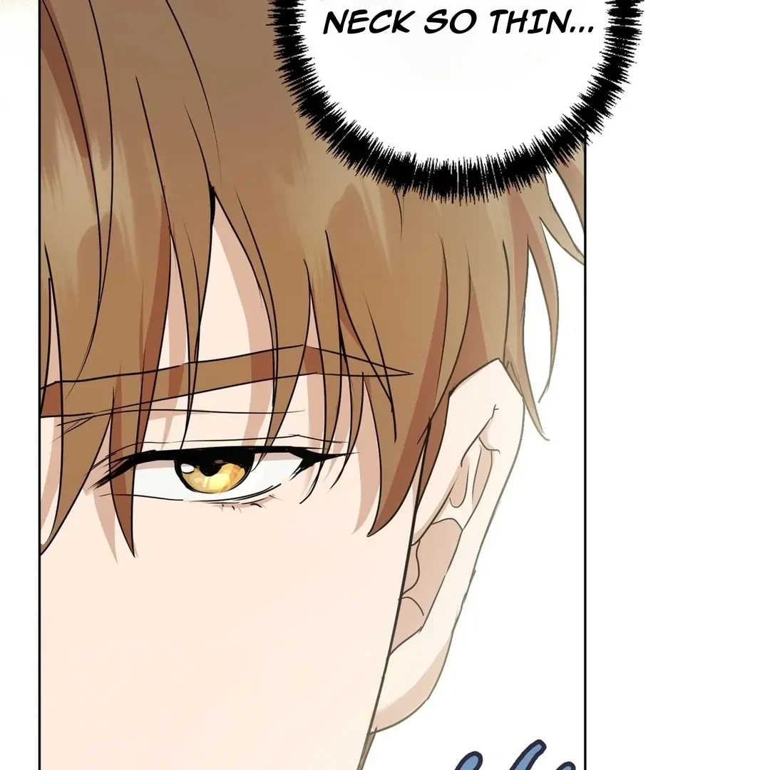 Chapter 2, page 117