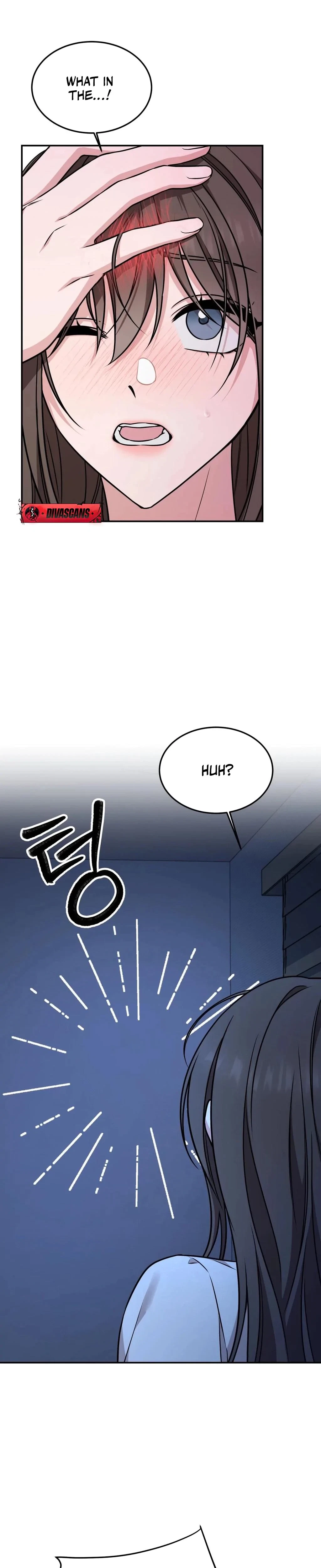 Chapter 1, page 17