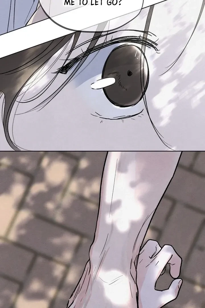 Chapter 1, page 31