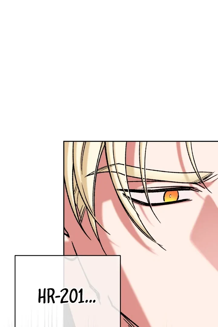 Chapter 3, page 101