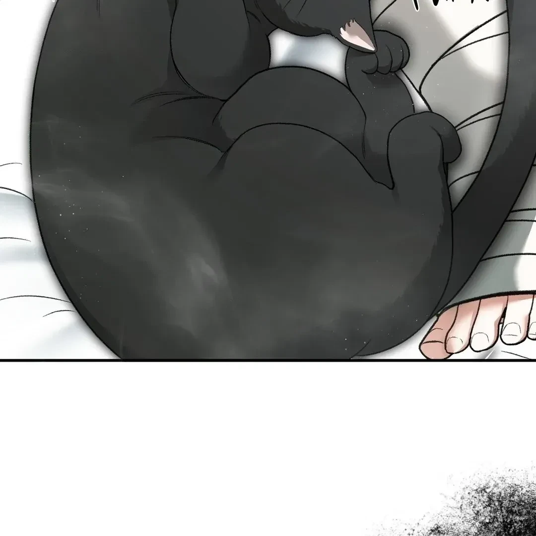 Chapter 3, page 100