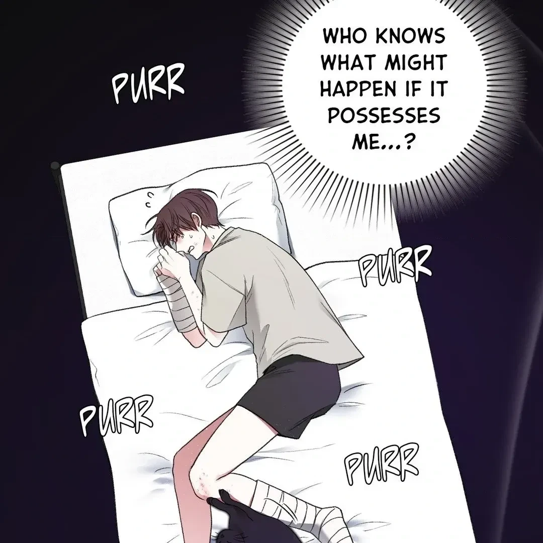 Chapter 3, page 102