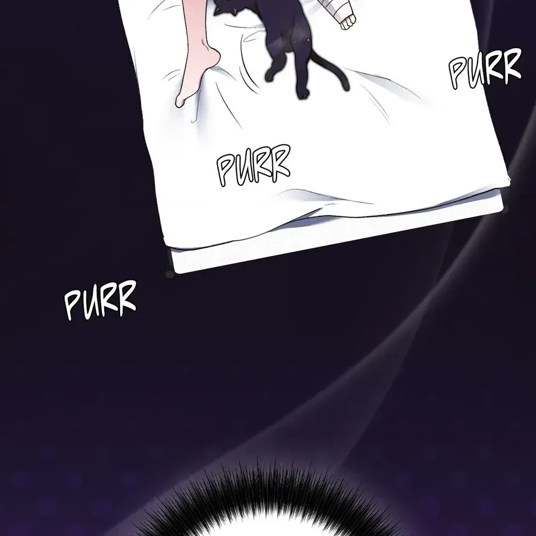 Chapter 3, page 103