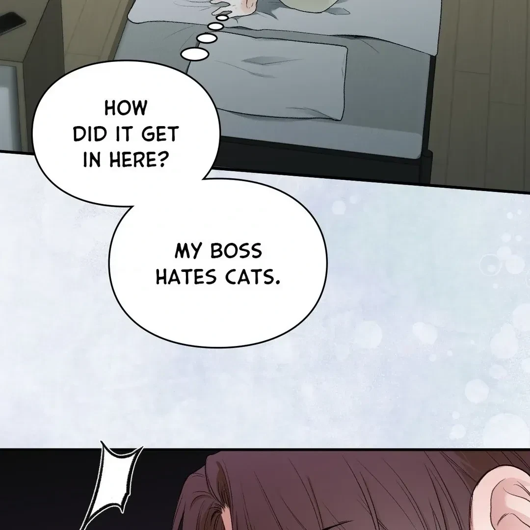 Chapter 3, page 91