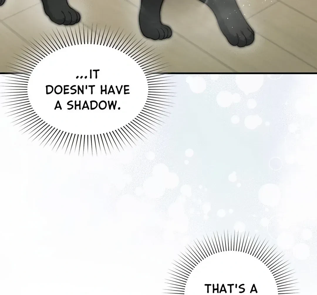 Chapter 3, page 93