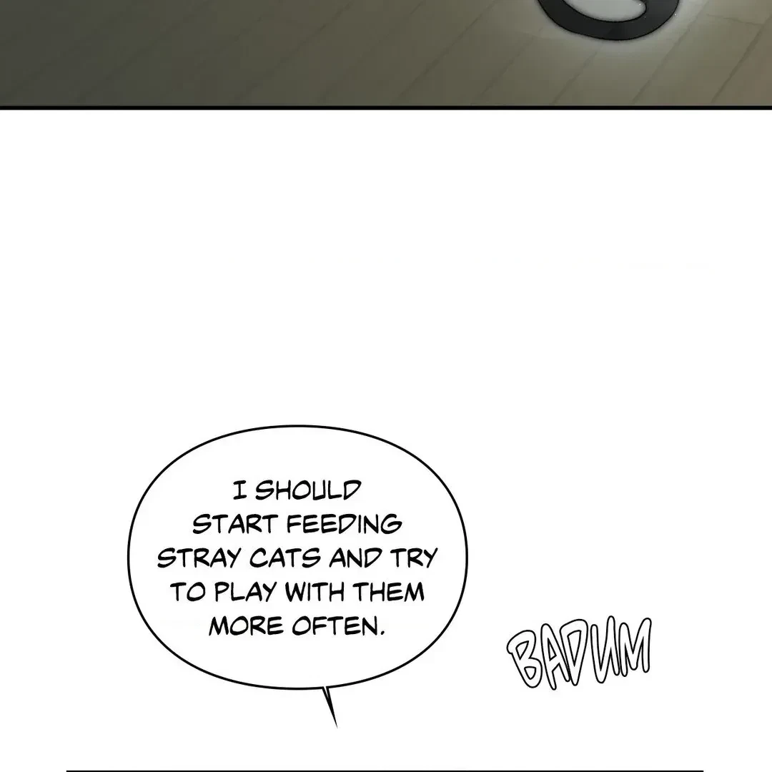 Chapter 3, page 96