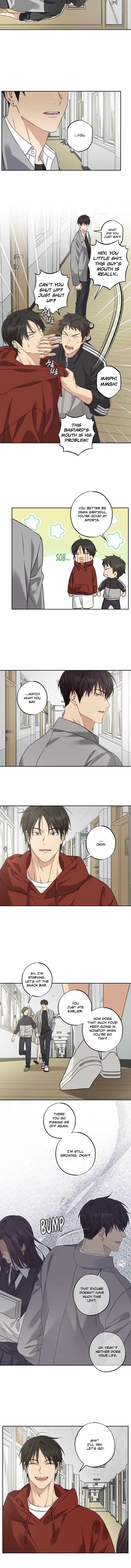 Chapter 41, page 12