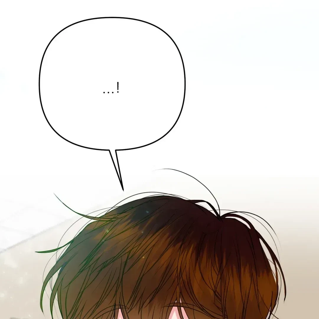 Chapter 1.3, page 98