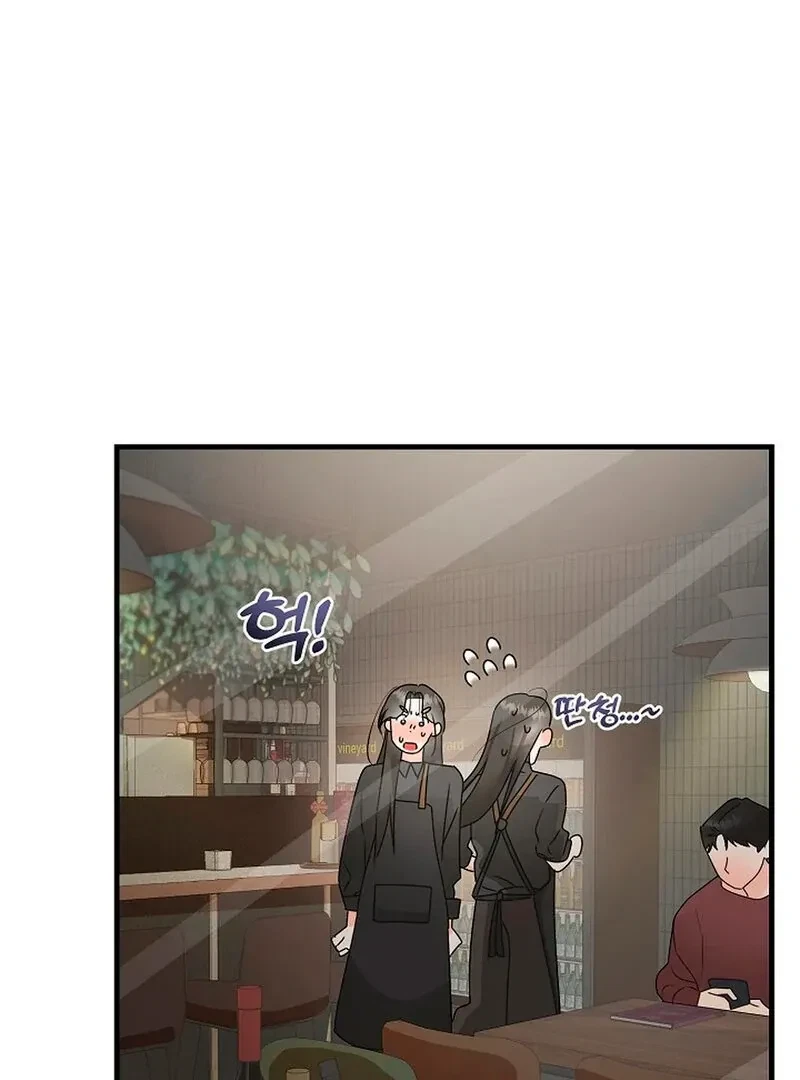 Chapter 4, page 97