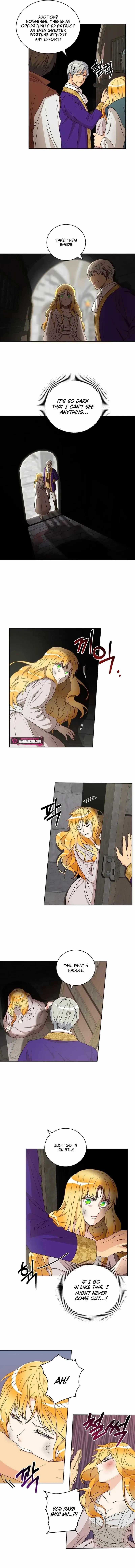 Chapter 5, page 3