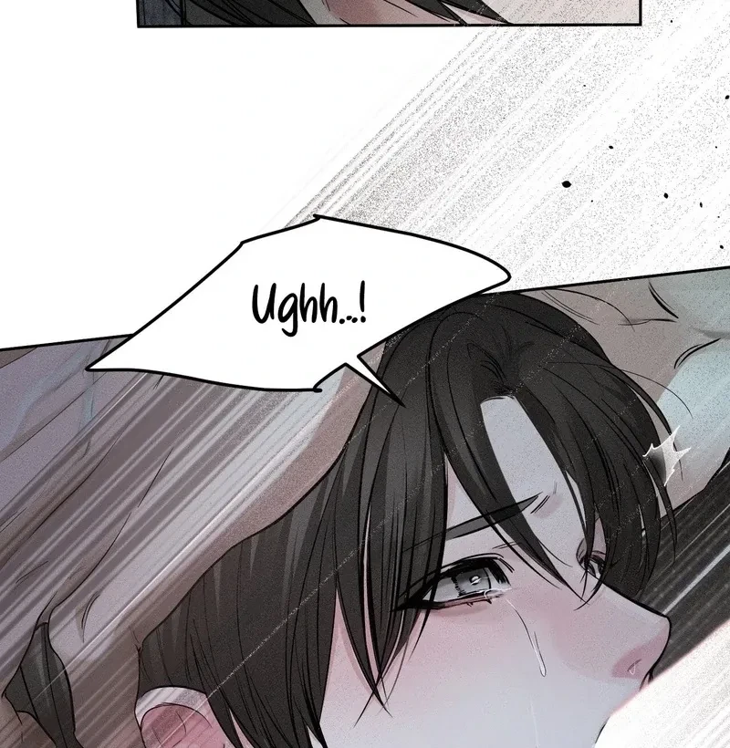 Chapter 4, page 19