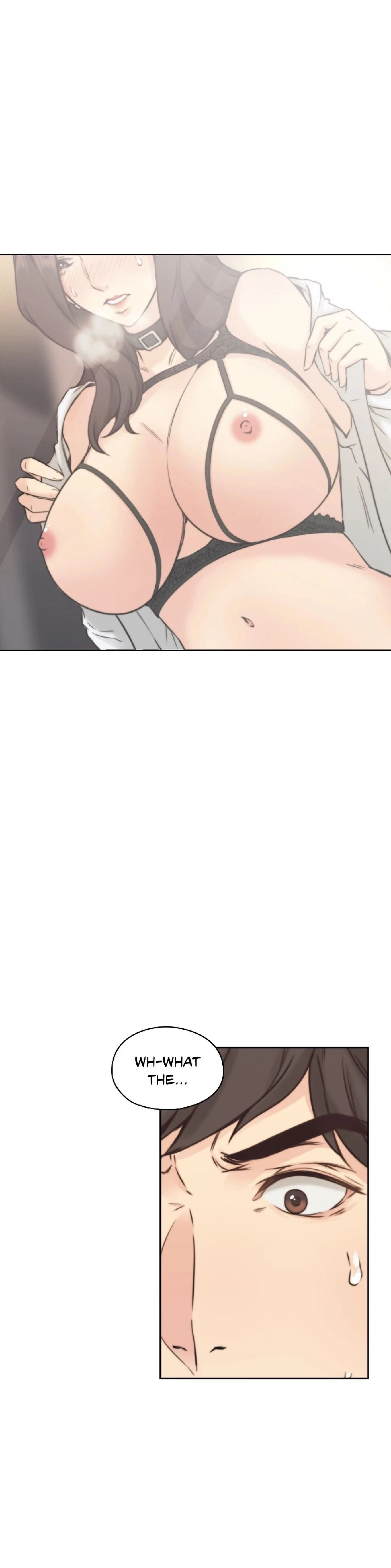 Chapter 2, page 41