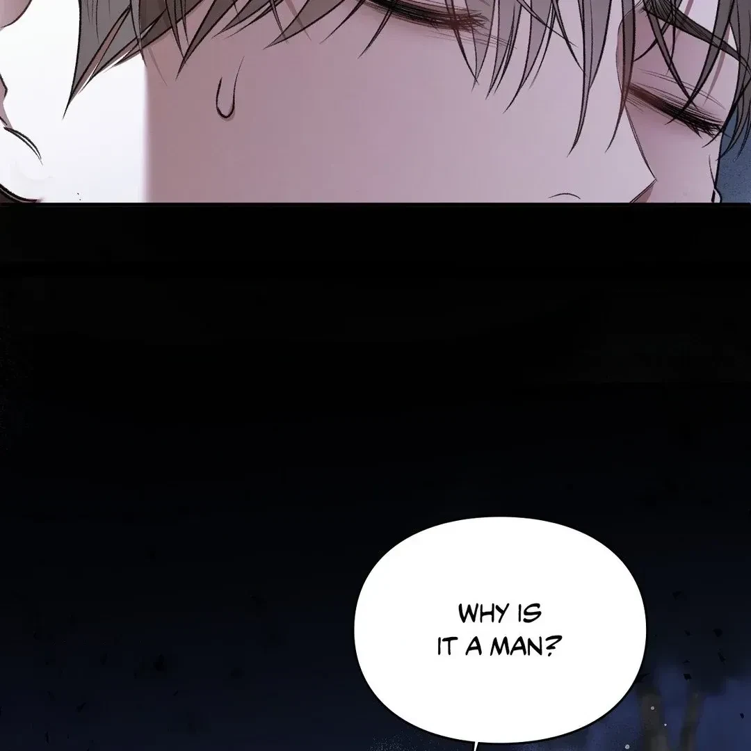 Chapter 2, page 237