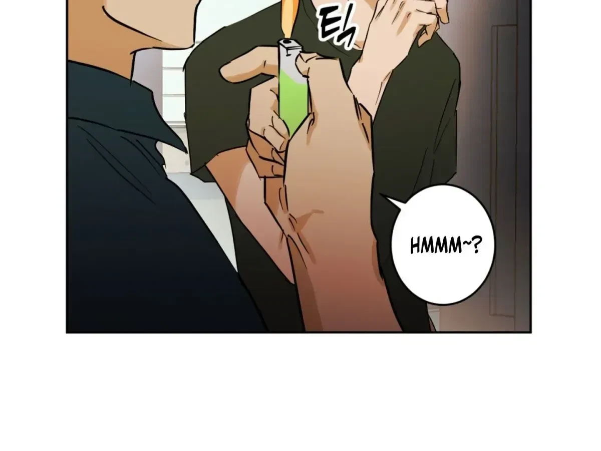 Chapter 2.1, page 13