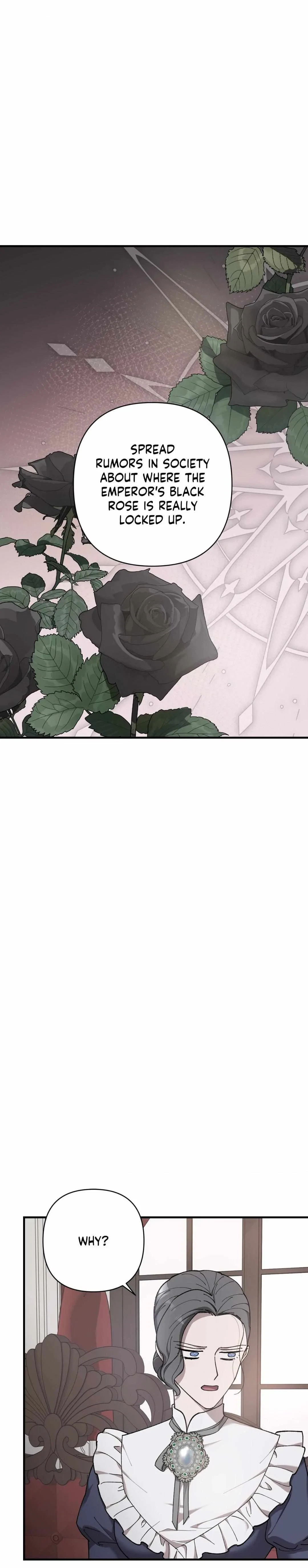 A Black Rose Blooms Chapter 73, page 11
