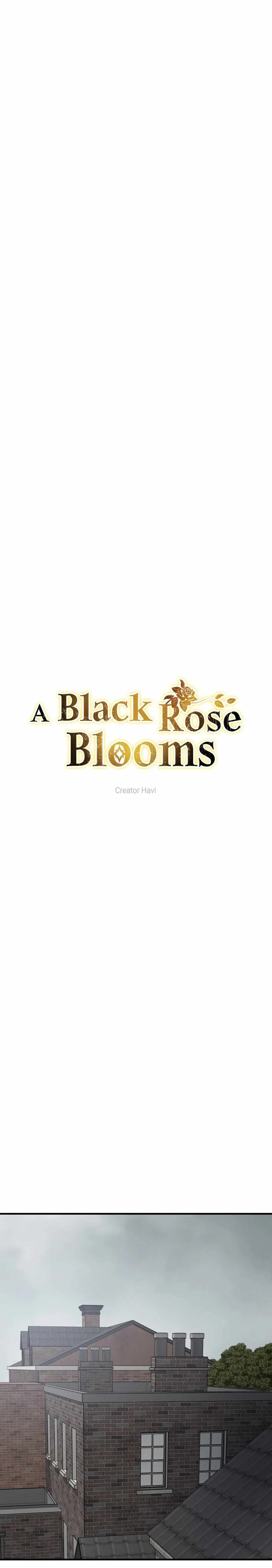 A Black Rose Blooms Chapter 73, page 15