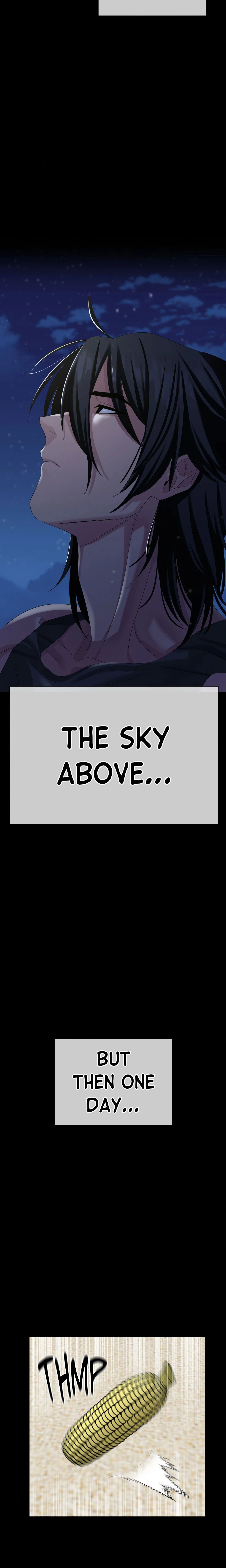 Chapter 13.11, page 31