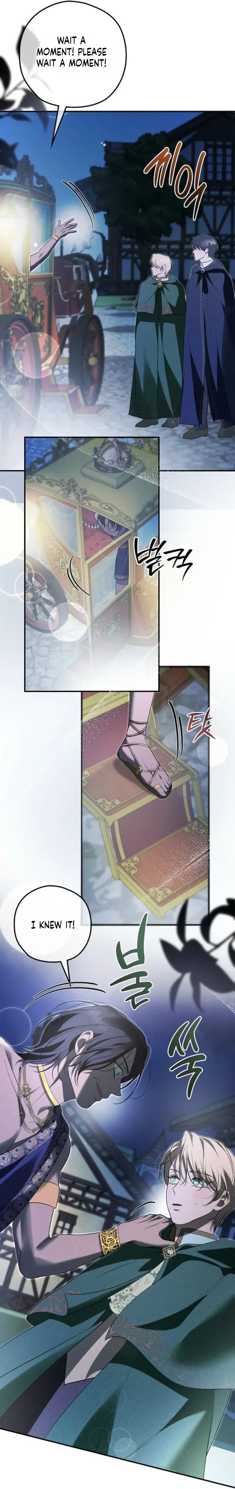 Chapter 28, page 30