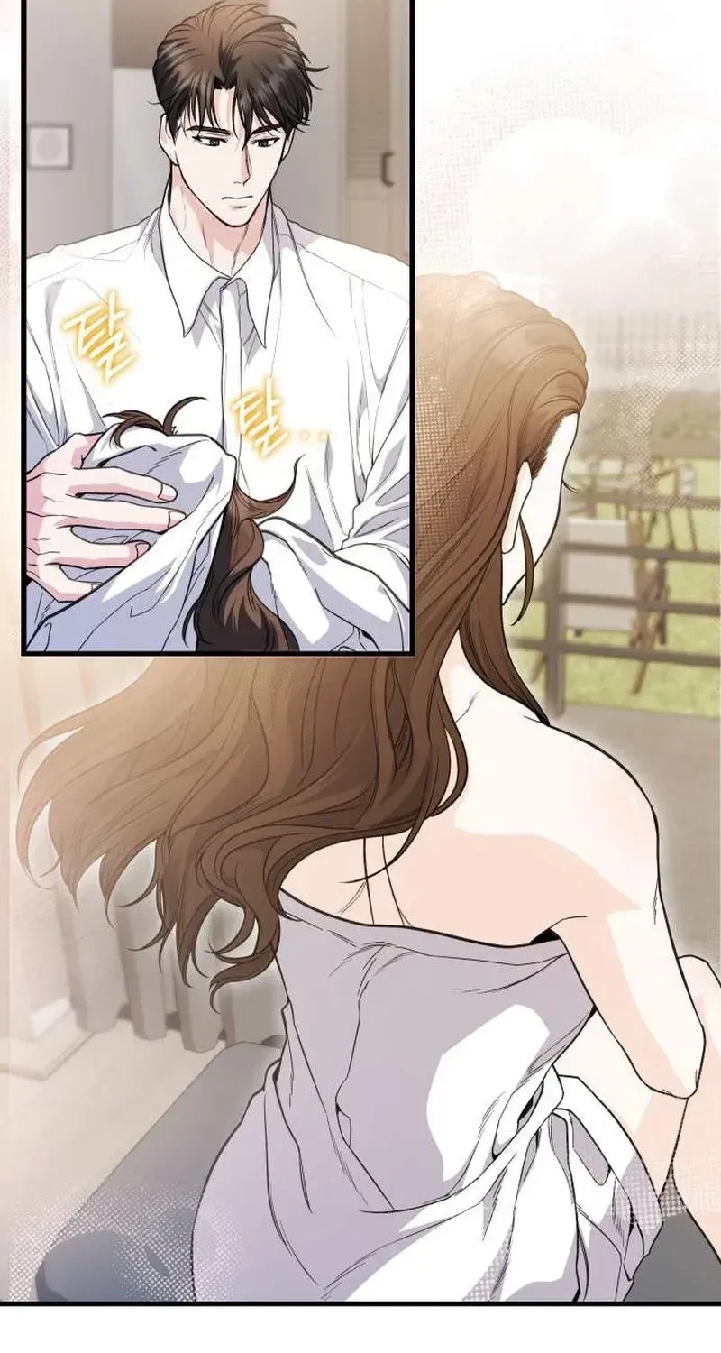 Chapter 2, page 19