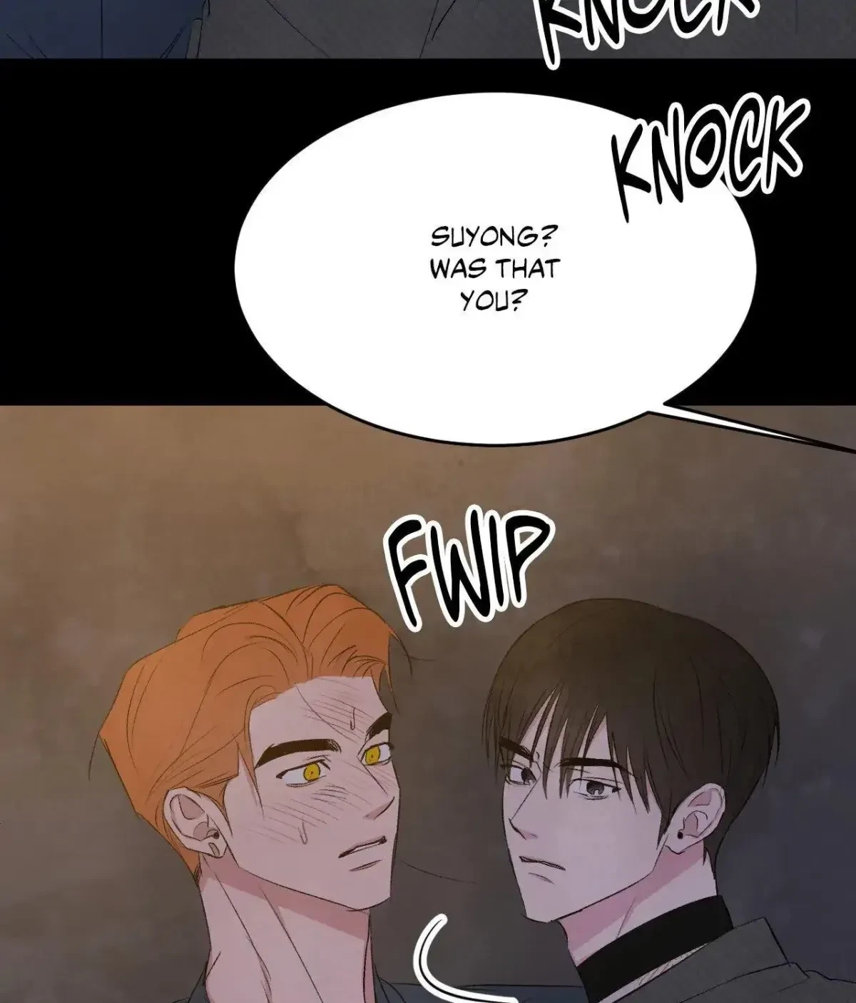Chapter 2.1, page 20